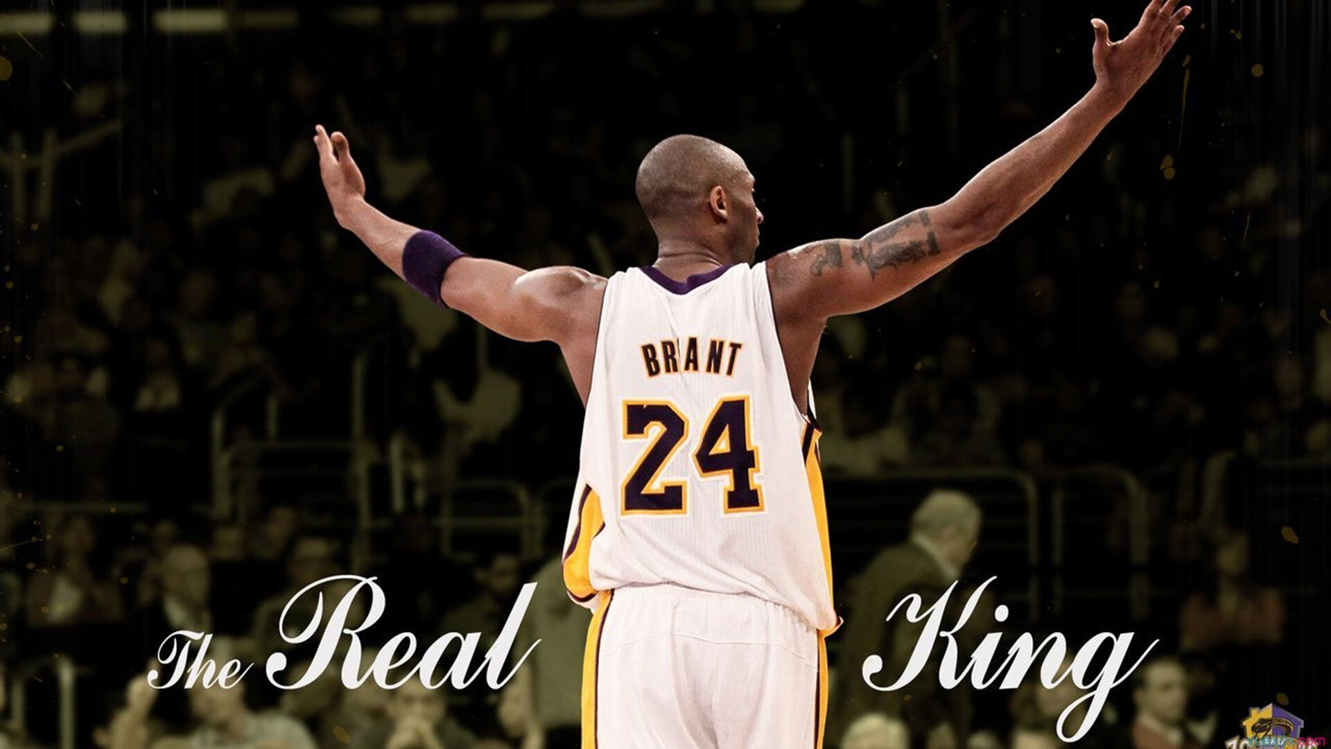 _天幕下的极光穿越：自然奇观中的极限竞赛_，极光的天空